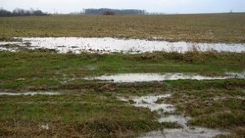 Земеделци в югоизточна България все още не могат да торят и сеят заради мокрите ниви
