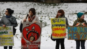 97% от българите не искат в България да се отглежда ГМО. Нови протести ще има утре - Agri.bg