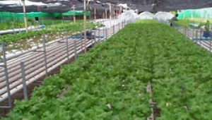 Намалява броят на регистрираните земеделски производители в Кърджалийско - Agri.bg