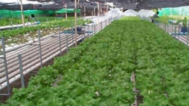 Намалява броят на регистрираните земеделски производители в Кърджалийско