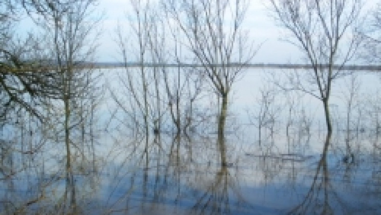 Министър Найденов ще се срещне в гр. Елхово с пострадалите от наводнението фермери