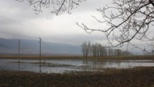 Наводнени са много есенници в Южна България.Ще помогне ли Държавата? - Agri.bg