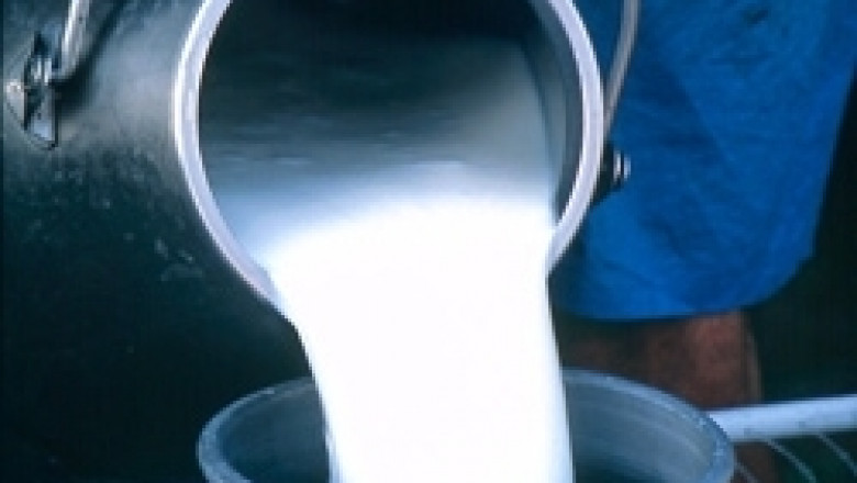ДФЗ отвори втори прием за покупка на свободни млечни квоти