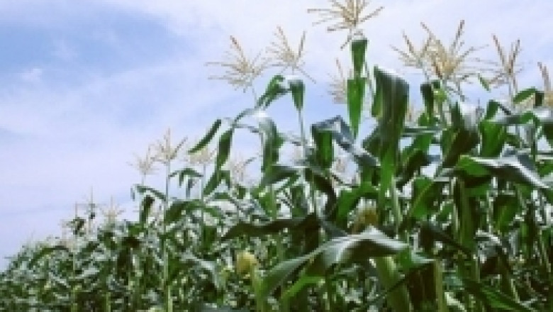 ПК по околната среда приема промените в Закона за ГМО на второ четене