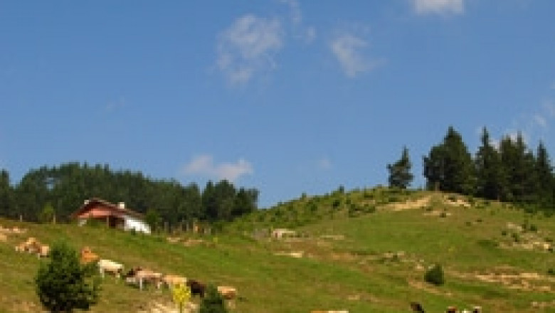ЕС стимулира фермерите към екопроизводство. Така ли е и в България?