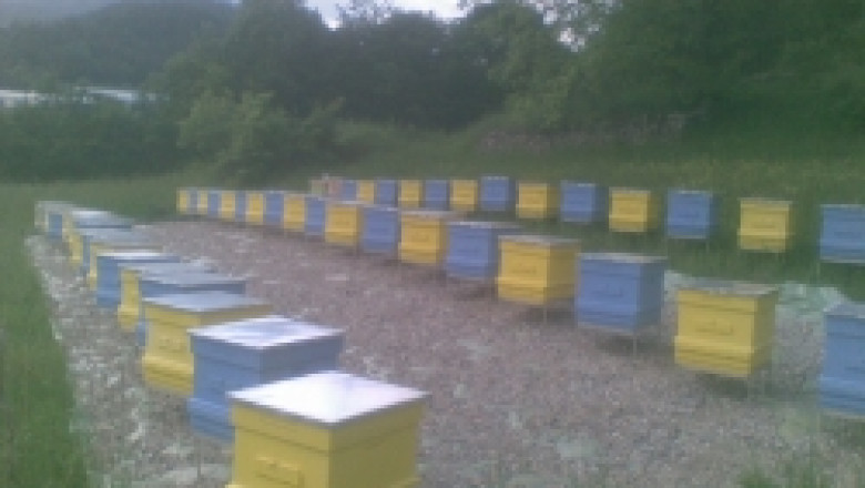 Обучение за болестите по пчелите в Смолян