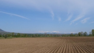 Делото за земите на Инстиута по земеделие "Образцов чифлик" се отлага за месец Май - Agri.bg