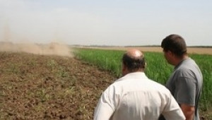 Фермери губят хиляди левове заради неразгледани проекти по ПРСР - Agri.bg