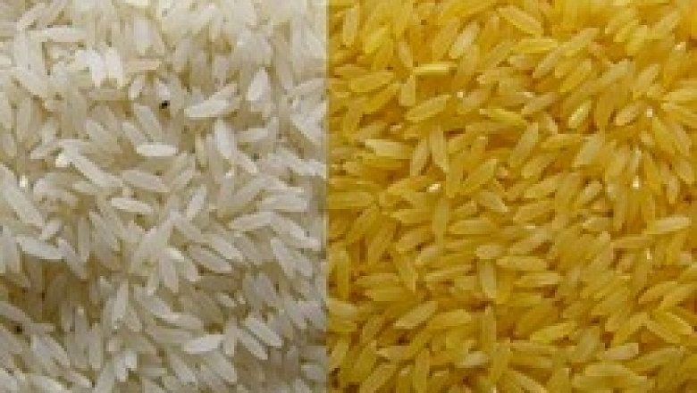ДФЗ обяви конкурс за набиране на интервенционни складове за ориз