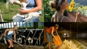 Копа Кожека ( Copa Cogeca ) ще представи награда за жени фермери - Agri.bg