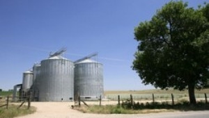 ДФЗ обяви канкурс за складове за пшеница, ечемик, царевица и сорго - Agri.bg