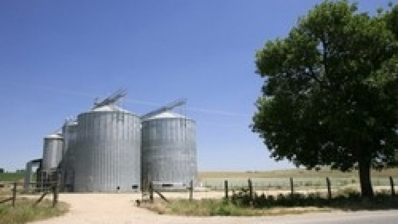 ДФЗ обяви канкурс за складове за пшеница, ечемик, царевица и сорго
