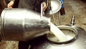 България поиска да се отложи въвеждането на евростандартите за млечни продукти - Agri.bg