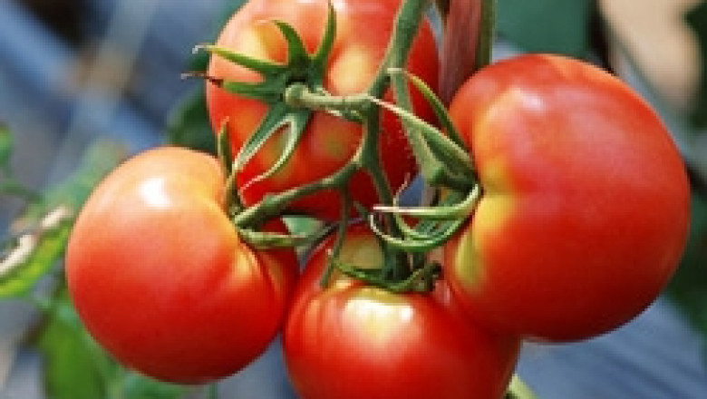 Затягат контрола на евтиния внос на зеленчуци и плодове