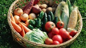 ДКСБТ: Падат цените на едро на картофите, доматите и краставиците - Agri.bg