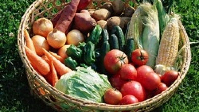 ДКСБТ: Падат цените на едро на картофите, доматите и краставиците