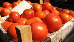 ДКСБТ : Цените на картофи, домати и краставици започнаха да се покачват - Agri.bg