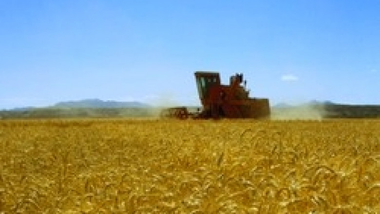 В Сливен жънат пшеница, във Видин чакат сухо време, в южна България – голяма суша