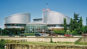 Собственик на агрофирма от Добрич ще съди държавата в Страсбург заради невърнато ДДС - Agri.bg