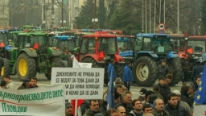 Разединени в протеста - Agri.bg
