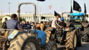 Протестът на гръцките фермери е образец за сплотеност в исканията им за подкрепа - Agri.bg