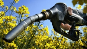 Неадекватна е държавната политика по отношение на биогоривата - Agri.bg