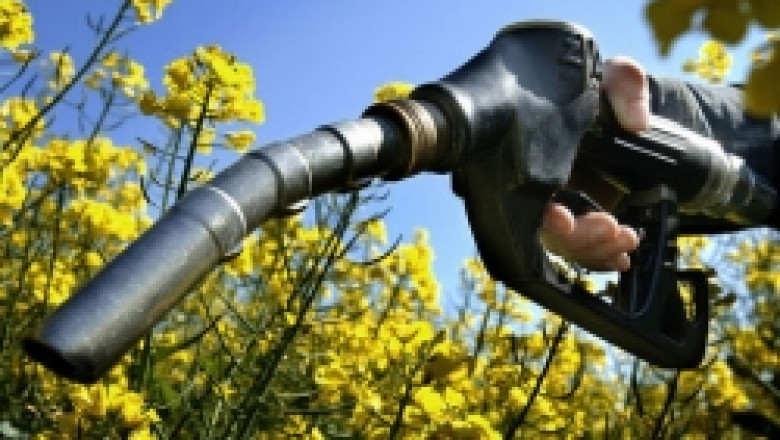 Неадекватна е държавната политика по отношение на биогоривата