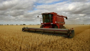 Държавата отпусна парите за земеделския сектор - Agri.bg