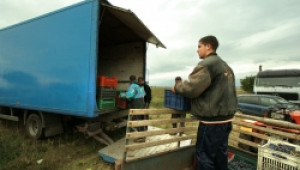Гаранционен фонд ще подпомага фермерите при кандидатстване по европейските фондове - Agri.bg