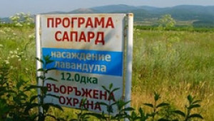 Заради корупцията по времето на САПАРД, сега ще пострадат не само фермерите и хората в селата с неземеделски проекти - Agri.bg