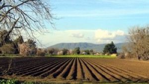 Земеделската земя в България се търгува под цените в други страни членки на ЕС - Agri.bg