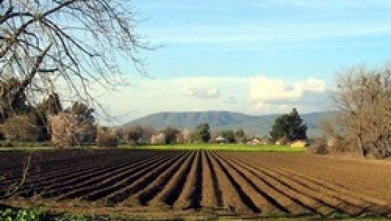Земеделската земя в България се търгува под цените в други страни членки на ЕС