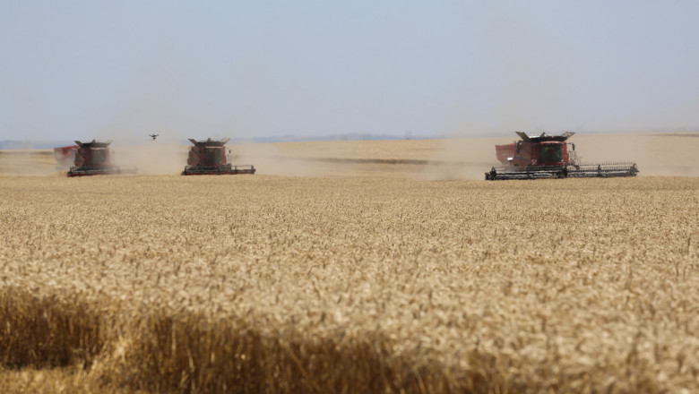 В очакване на жътвата: Технологията за пшеницата ще е решаваща