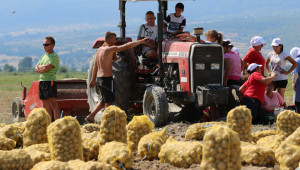 Фермите ще увеличат търсенето на работна ръка - Снимка 1