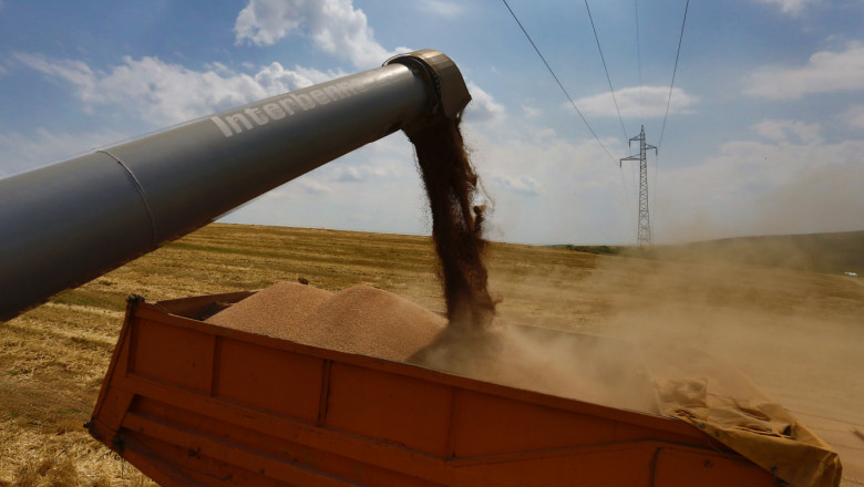 290 лв. на тон пшеница прогнозират във Видинско