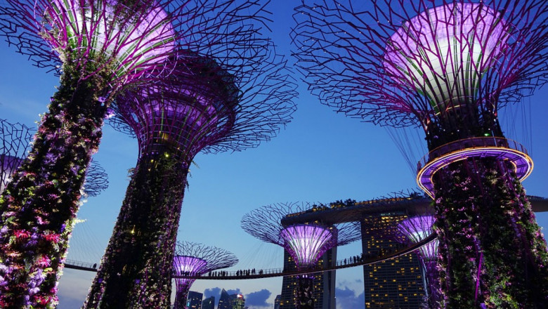 Земеделието в Сингапур: Не мислете за земята, погледнете към небето