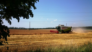 Пазарът на фуражна пшеница в Добруджа се раздвижи - Agri.bg