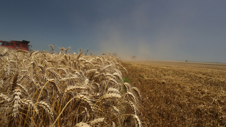 Жътвата: Добри средни добиви от пшеница - 529 кг/декар