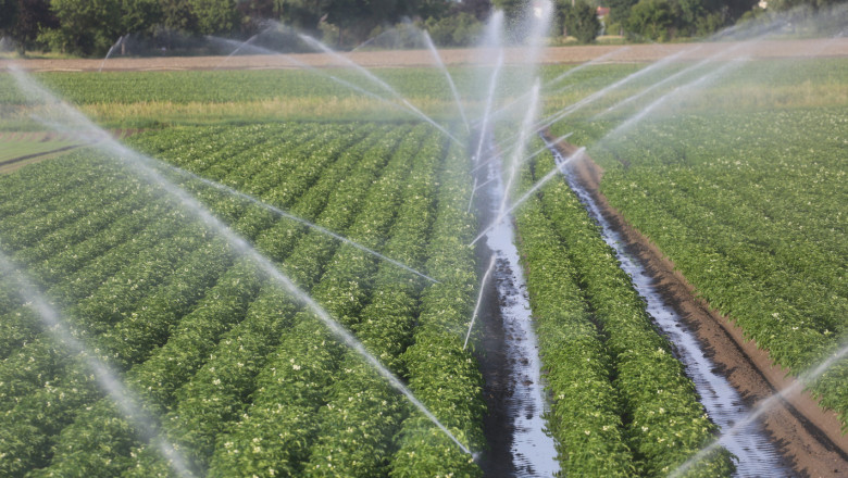 Агроиновации: Ефективно и устойчиво използване на водата във фермата
