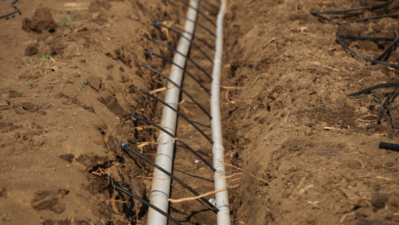 Агроиновации: Ефективно и устойчиво използване на водата във фермата