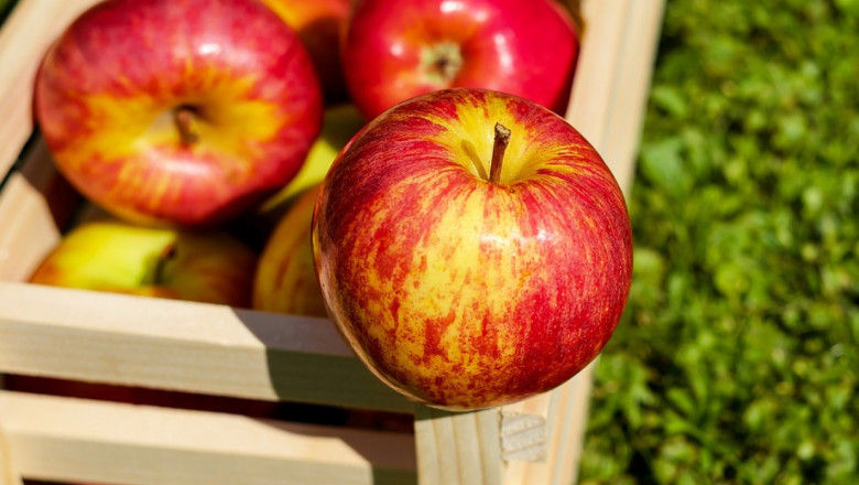 Руснаците искат забрана на вносни ябълки през 9 месеца от годината