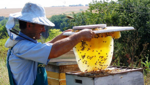 Пчелар: Не съм оптимист за развитието на сектора! - Снимка 1
