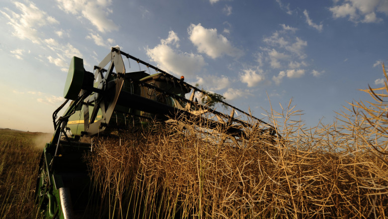 Реколта 2019: Пшеницата се устреми към 6 млн. тона