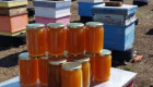 Продавам натурален пчелен мед - Снимка 1