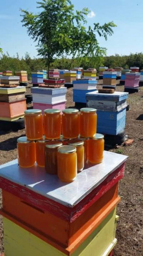 Продавам натурален пчелен мед - Снимка 1