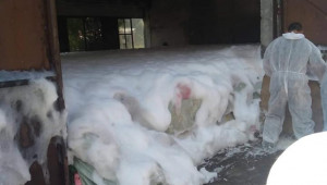 Сигнал: Прасетата в Николово ги давят с пожарникарска пяна - Снимка 3
