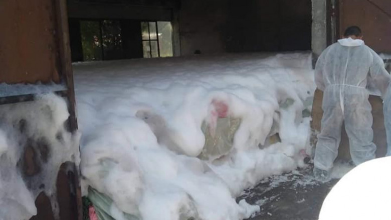 Сигнал: Прасетата в Николово ги давят с пожарникарска пяна