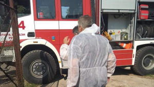 Отговор от БАБХ: Пожарникарска пяна е ползвана при евтаназията на свине - Agri.bg