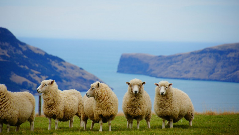 Новозеландските фермери ще плащат за парникови газове