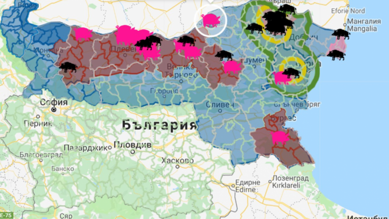ЕК включи България в зоните с висок риск от чумата по свинете